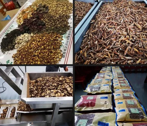 PG电子·(中国)游戏官方网站