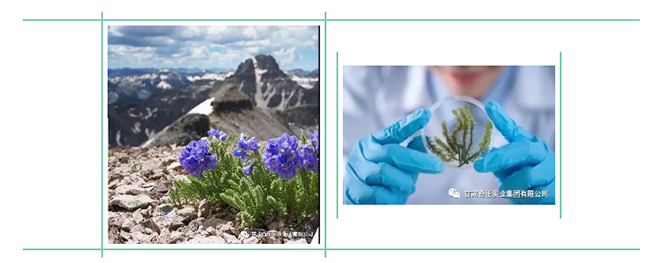 PG电子·(中国)游戏官方网站