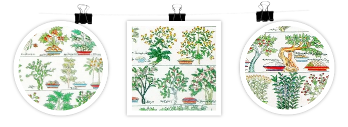 PG电子·(中国)游戏官方网站