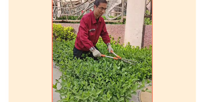 PG电子·(中国)游戏官方网站