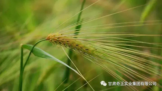 PG电子·(中国)游戏官方网站