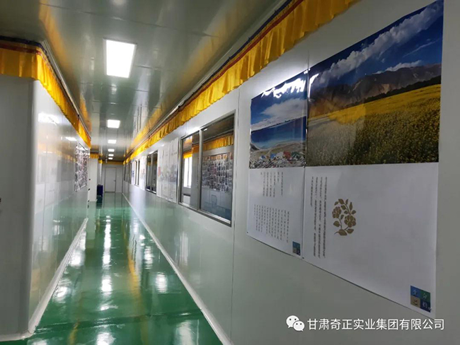 PG电子·(中国)游戏官方网站