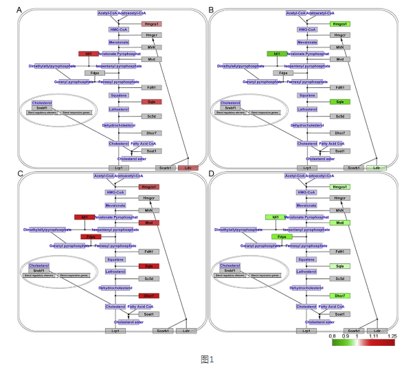 PG电子·(中国)游戏官方网站