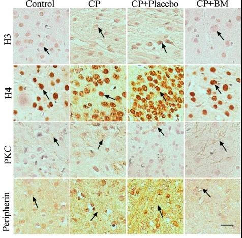 PG电子·(中国)游戏官方网站