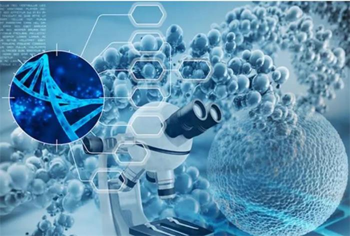 PG电子·(中国)游戏官方网站