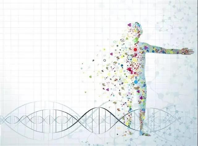 PG电子·(中国)游戏官方网站