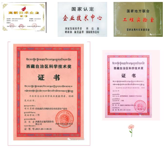 PG电子·(中国)游戏官方网站