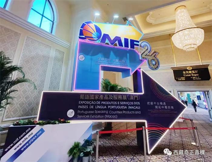 PG电子·(中国)游戏官方网站