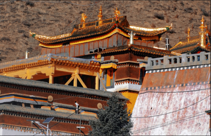 PG电子·(中国)游戏官方网站