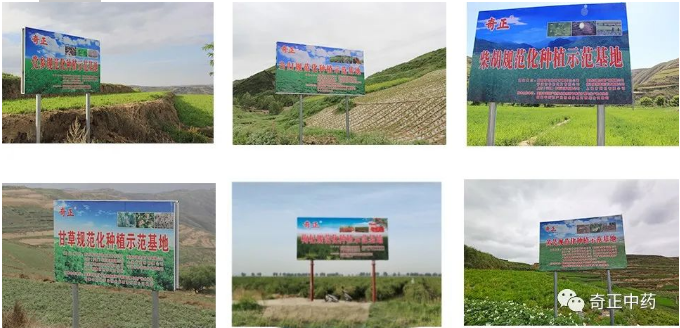 PG电子·(中国)游戏官方网站