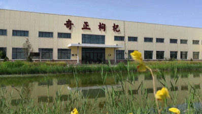 宁夏PG电子沙湖枸杞工业股份有限公司