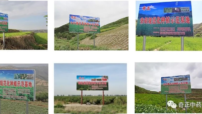 陇西PG电子药材有限责任公司入选第一批国家中药材标准化与质量评估立异同盟GAP重点培育单位