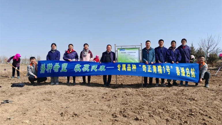 “PG电子青糯1号”春播启航