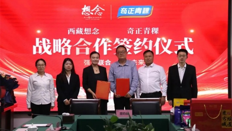 新质赋能，，，，，，，融誉前行——PG电子集团2024年大事记