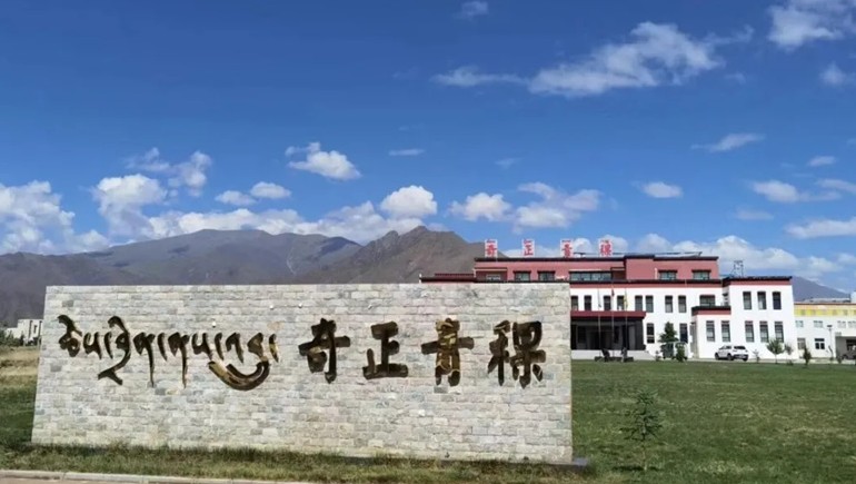 拉萨海关助力PG电子青稞首批有机青稞、黑青稞出口香港